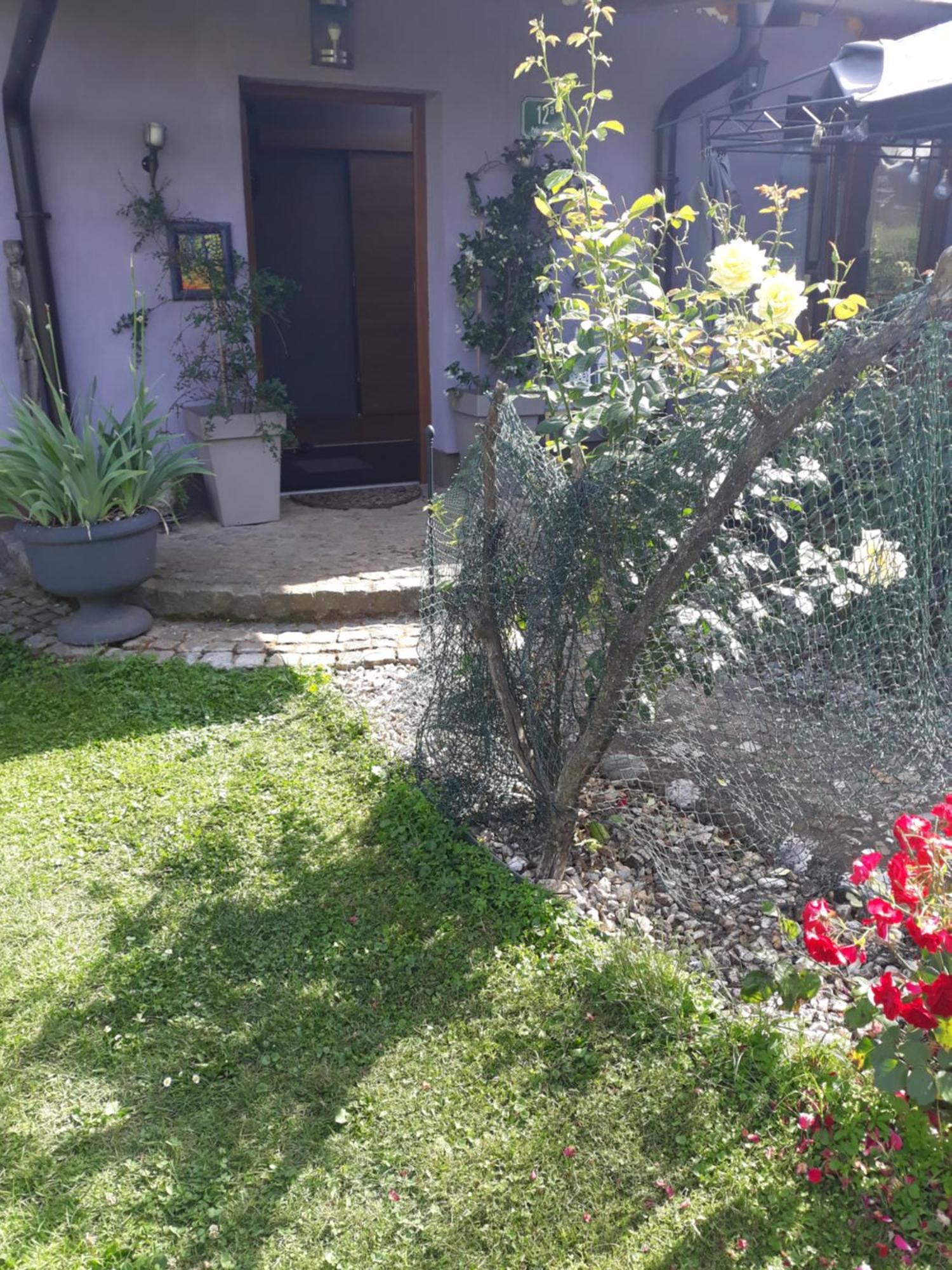 Rose Room 40M2 With Terrace 25M2 In Greeny Area For 4 Person Ljubljana Ngoại thất bức ảnh