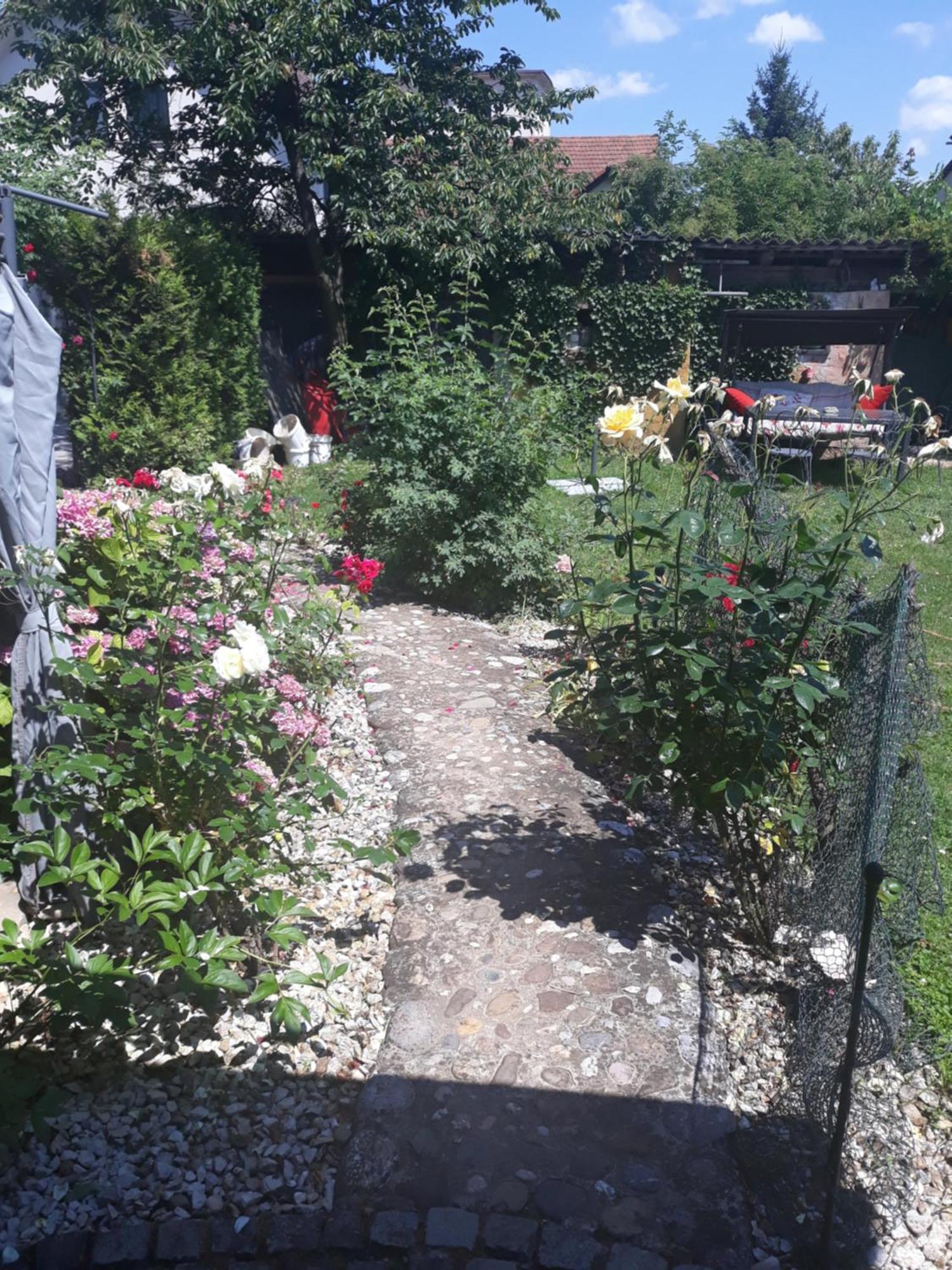 Rose Room 40M2 With Terrace 25M2 In Greeny Area For 4 Person Ljubljana Ngoại thất bức ảnh