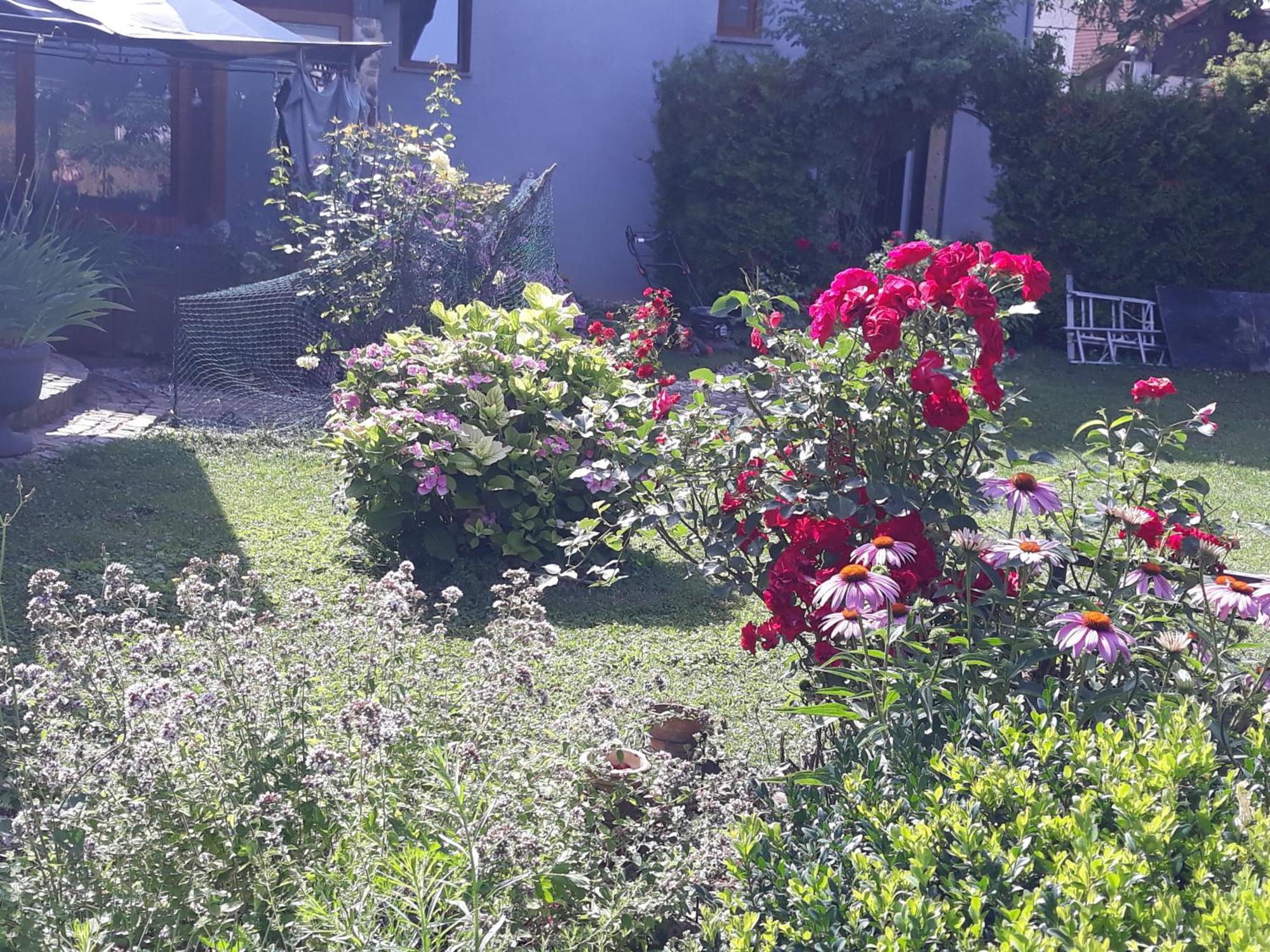 Rose Room 40M2 With Terrace 25M2 In Greeny Area For 4 Person Ljubljana Ngoại thất bức ảnh